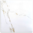 Volpine Beige Polished Tile 600x600