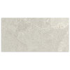 Ardesia Silver Honed Tile 600x1200