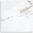 Calcutta Aurous Polished Tile 600x600