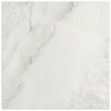 Polar Onyx Polished Tile 600x600