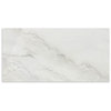Polar Onyx Polished Tile 600x1200