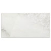 IN/OUT Polar Onyx Matt Tile 600x1200