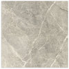 Adore Taupe Matt Smooth Grip 600x600