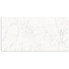 Carrara Grey Polish Tile 600x1200