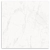 Carrara Grey Polish Tile 600x600