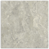 Pompeii Silver IN/OUT Tile 600x600