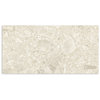 Studio Terrazzo Champagne Beige Matt Tile 300x600