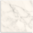 Amici Calacatta Matt P3 Tile 200x200