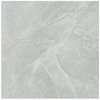 Kitty Light Grey Polished Tile 600x600