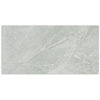 Kitty Light Grey Polished Tile 300x600