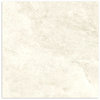 Taj Mahal White Silk (Honed) 600x600 Tile