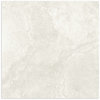 Cavatore Bone Polish Tile 600x600