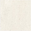 BaySide Champagne Shell Matt Tile 600x600