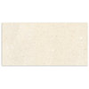 BaySide Sand Shell Matt Tile 300x600