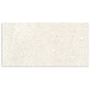 BaySide Champagne Shell Matt Tile 300x600