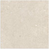 Brescia Earth Ivory Matt Tile P3 600x600