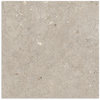 Brescia Earth Grigio Matt Tile P3 600x600